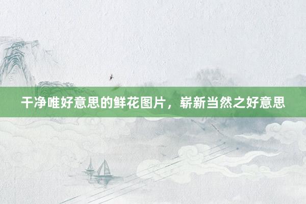 干净唯好意思的鲜花图片，崭新当然之好意思