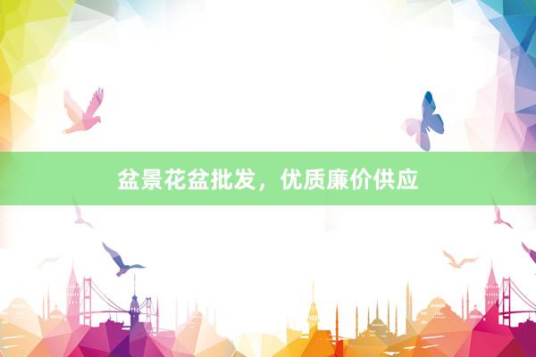 盆景花盆批发，优质廉价供应